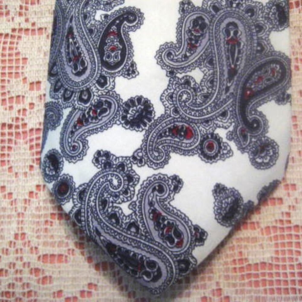 Dino Collection Men's Tie Paisley